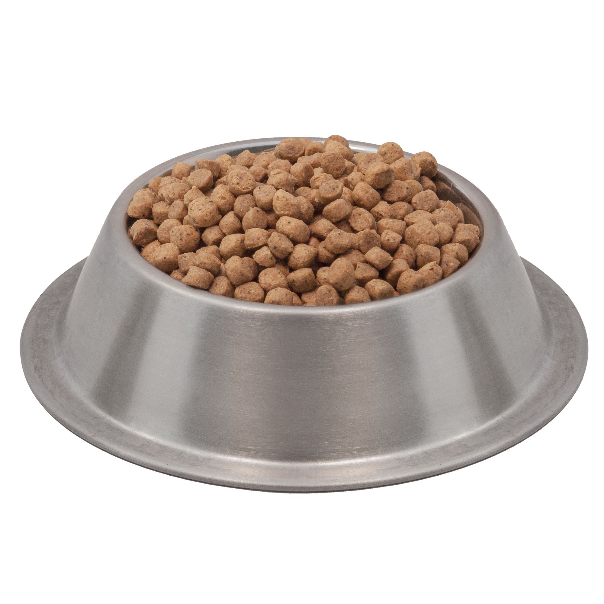 wysong dog food