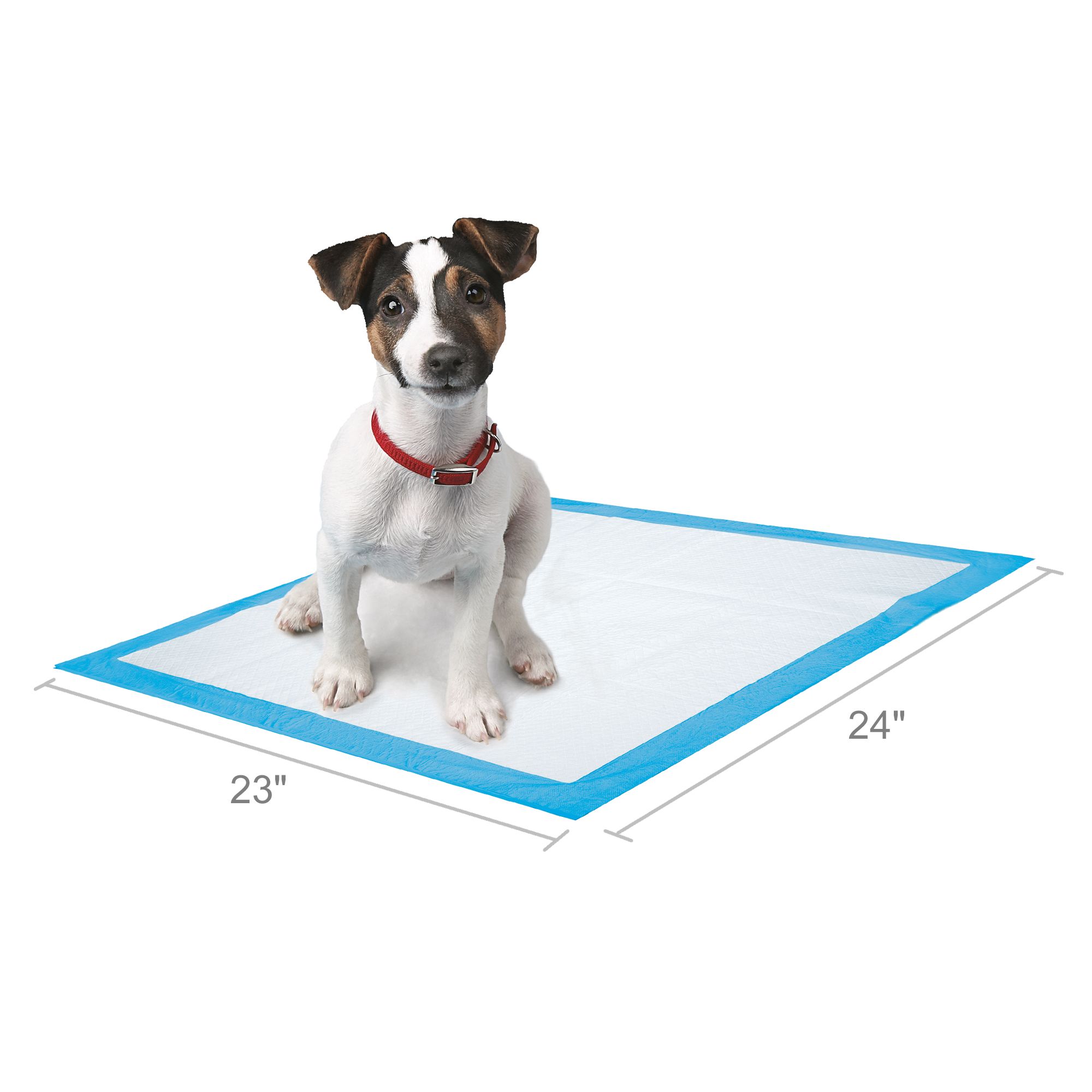 cooling mat for dogs petsmart