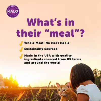 Product HALO® Kitten Food - Natural, Grain Free, Holistic Chicken Recipe Pate