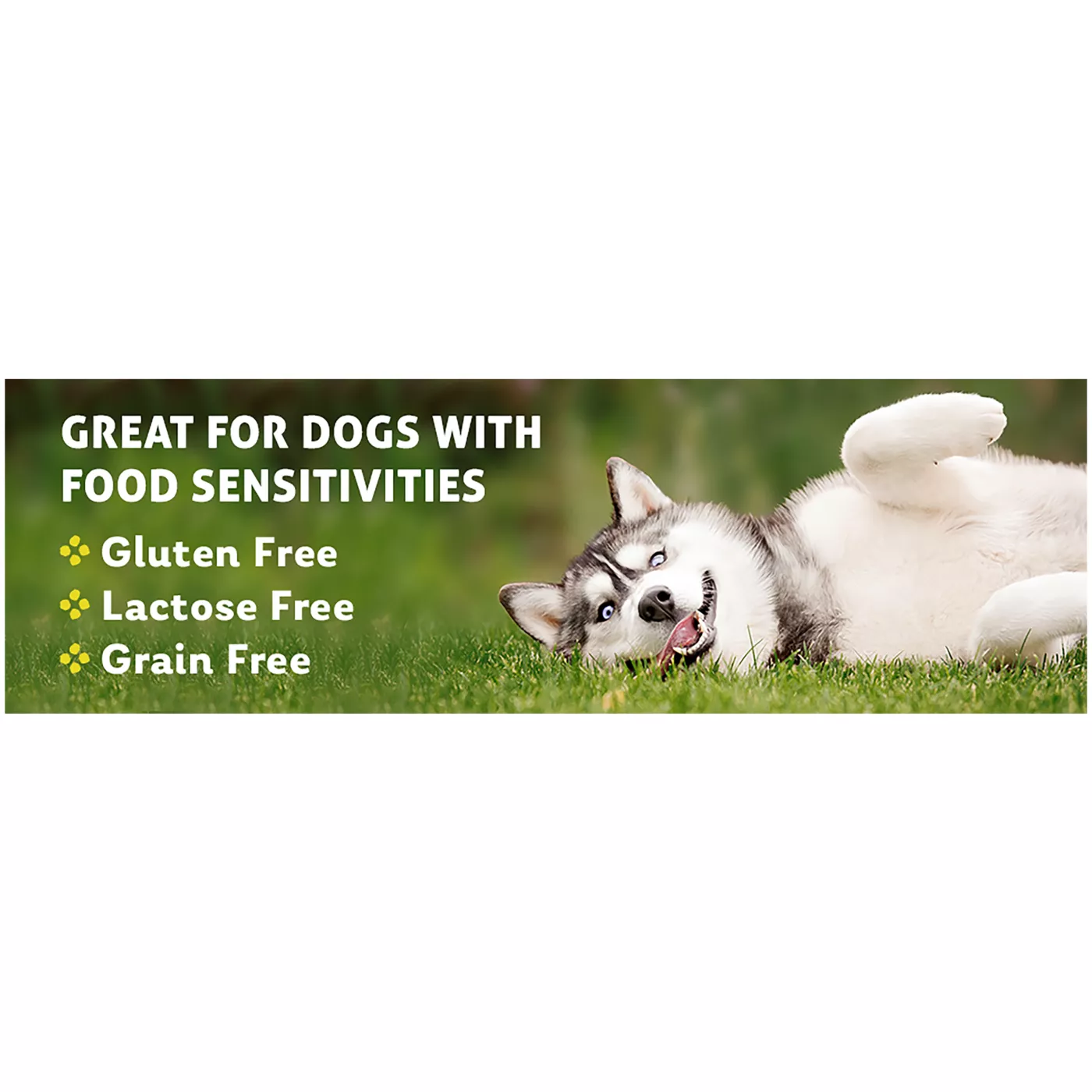 Himalayan Dog Chew The Original Dog Chew Natural Grain Free