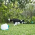 iFetch Too Interactive Ball Launcher Dog Toy image thumbnail 2