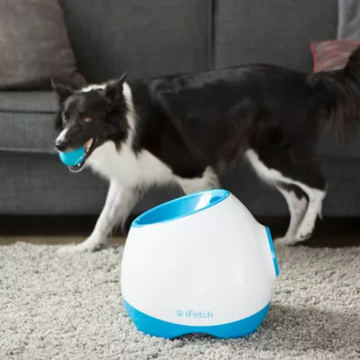 Ifetch too interactive ball launcher for dogs best sale