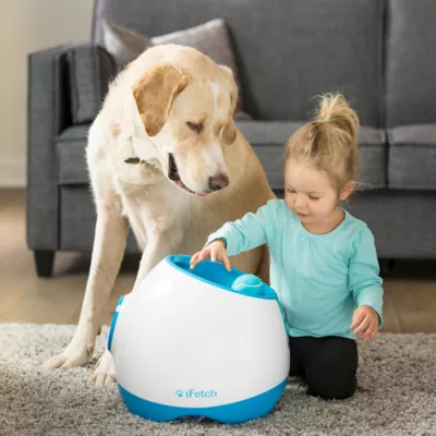 iFetch Too Automatic Ball Launcher for Dogs