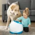 iFetch Too Interactive Ball Launcher Dog Toy image thumbnail 4