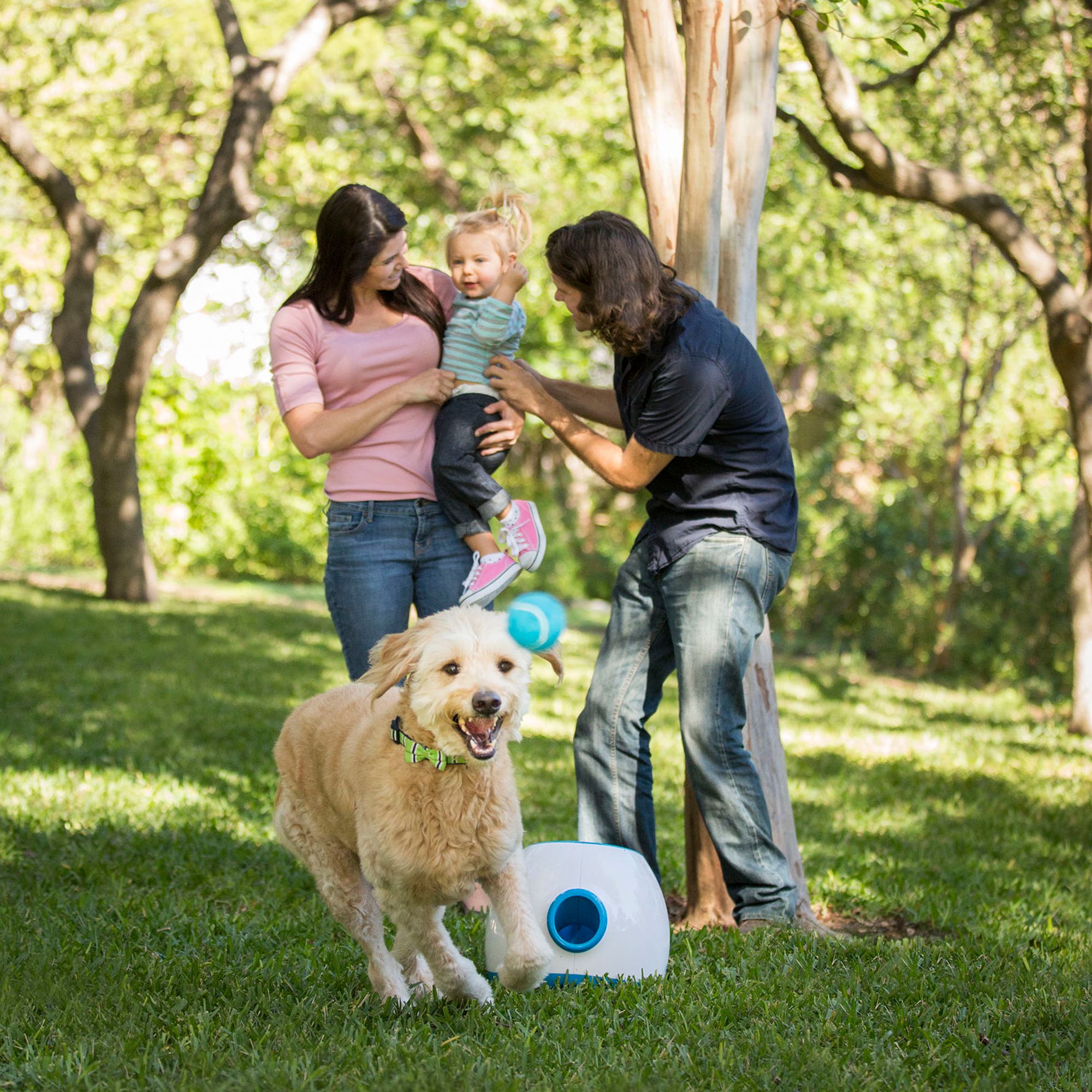 interactive tennis ball launcher and treat