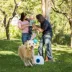 iFetch Too Interactive Ball Launcher Dog Toy image thumbnail 5
