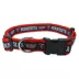 Minnesota Twins MLB Dog Collar image thumbnail 1
