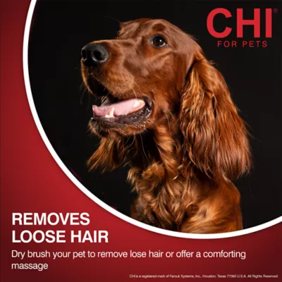 CHI® Double-Sided Detangling Dog Grooming Glove - Image 5