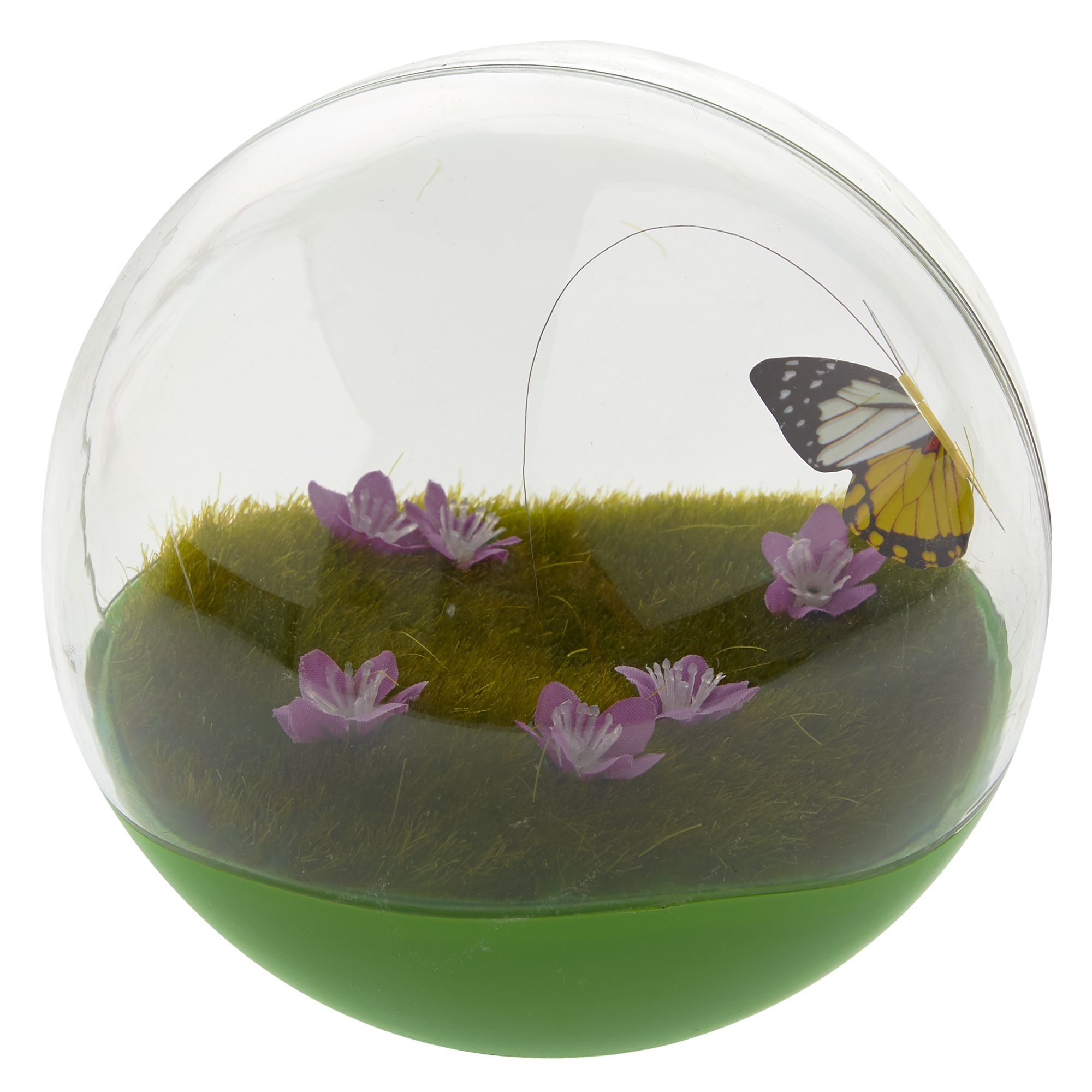 jackson galaxy butterfly ball