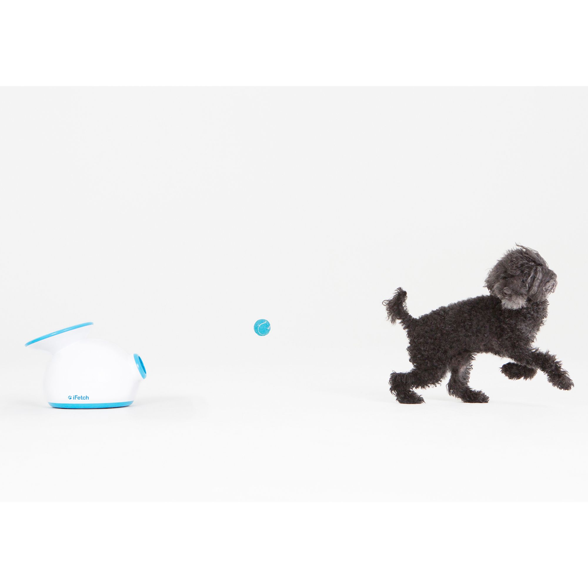 ifetch interactive dog ball launcher