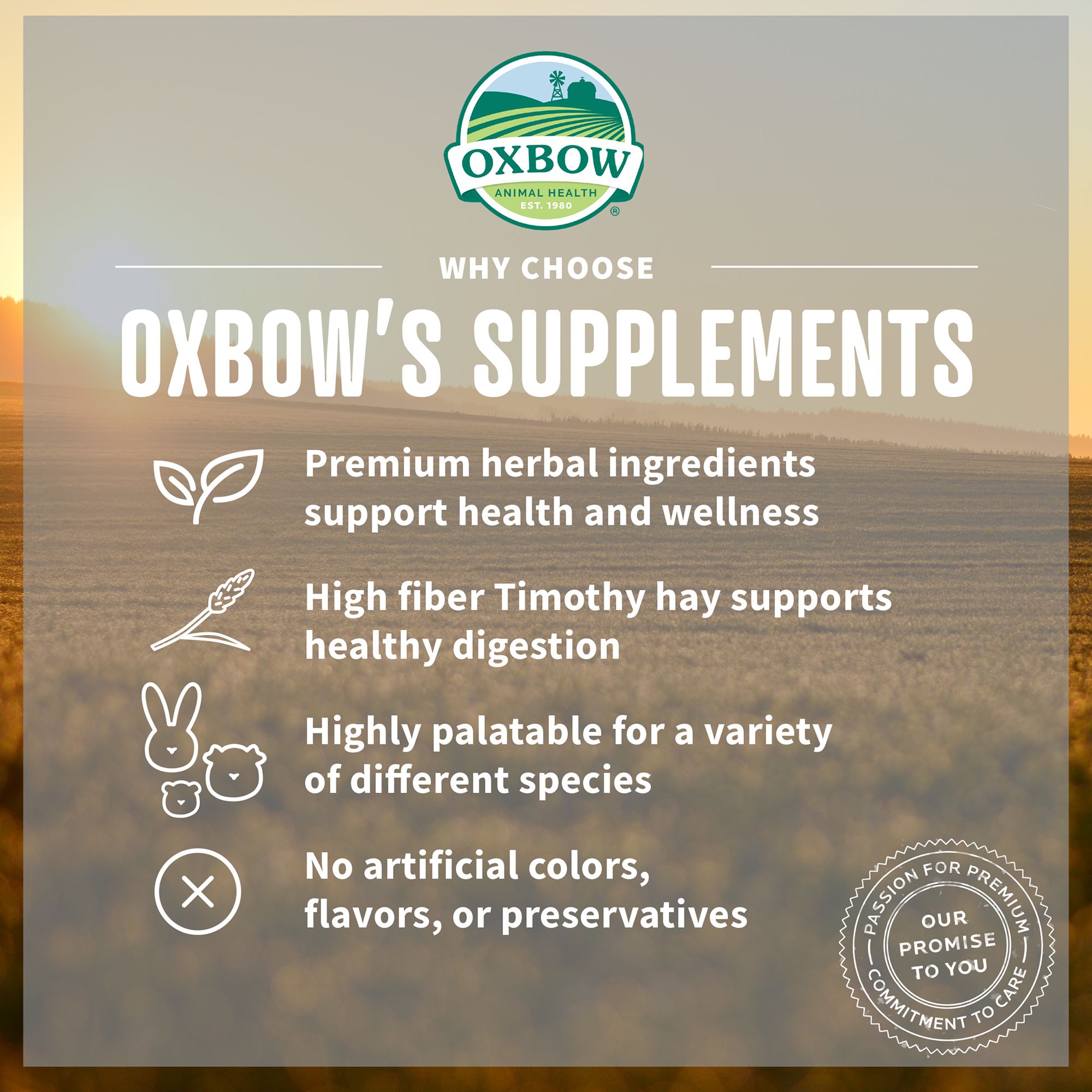 Oxbow Natural Science Multi-Vitamin Small Animal Supplement - thumbnail 4