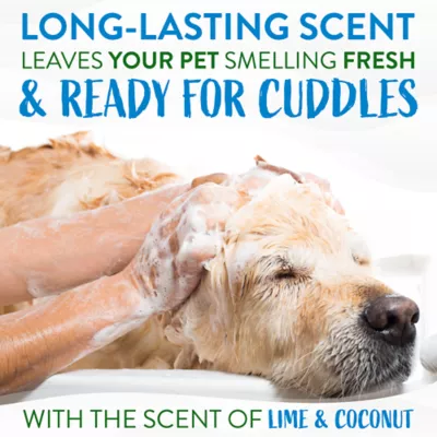 Product TropiClean® Lime & Coconut DeSheding Dog Shampoo