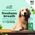 TropiClean® Fresh Breath® Dog Oral Care Kit image thumbnail 4