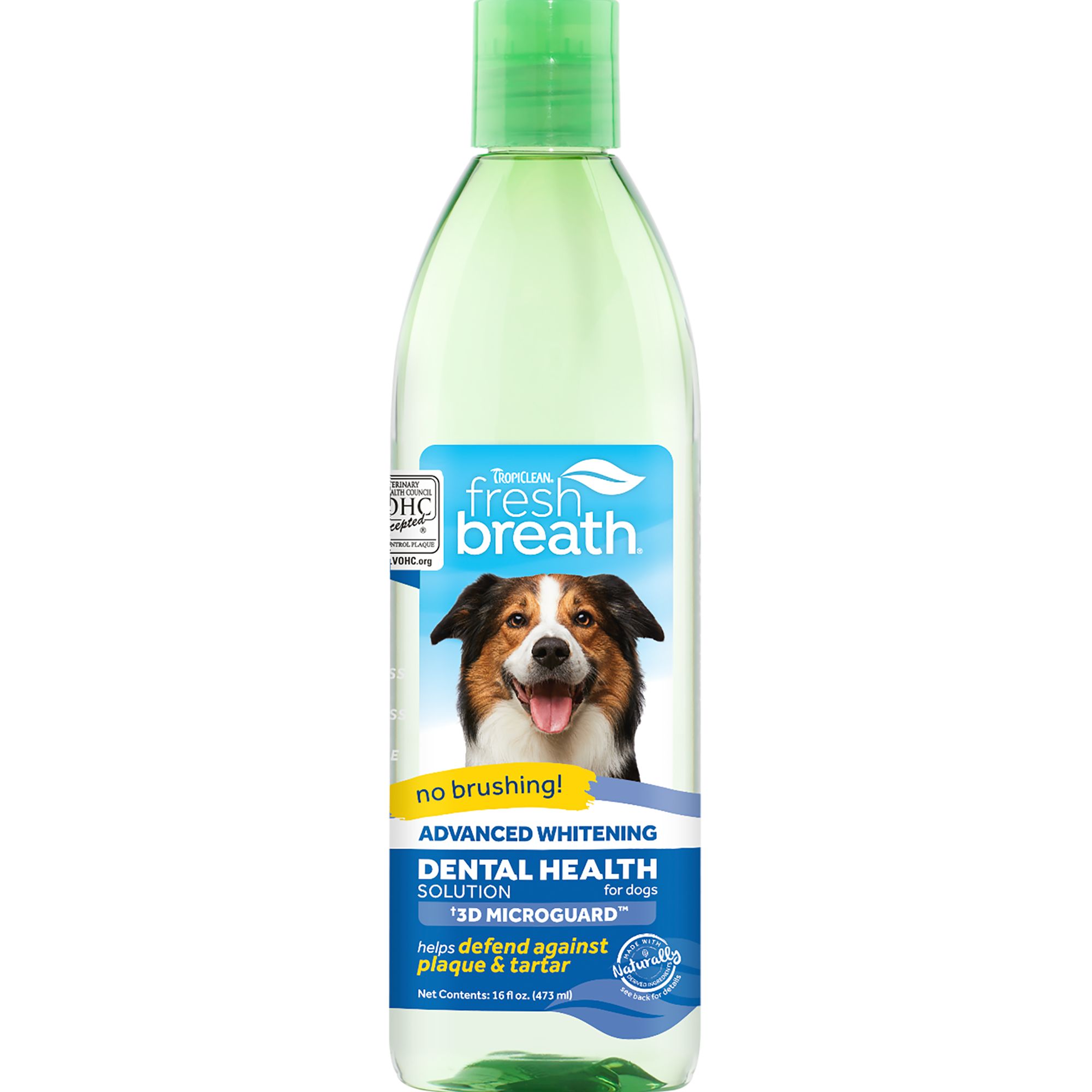 Fresh breath outlet for dogs