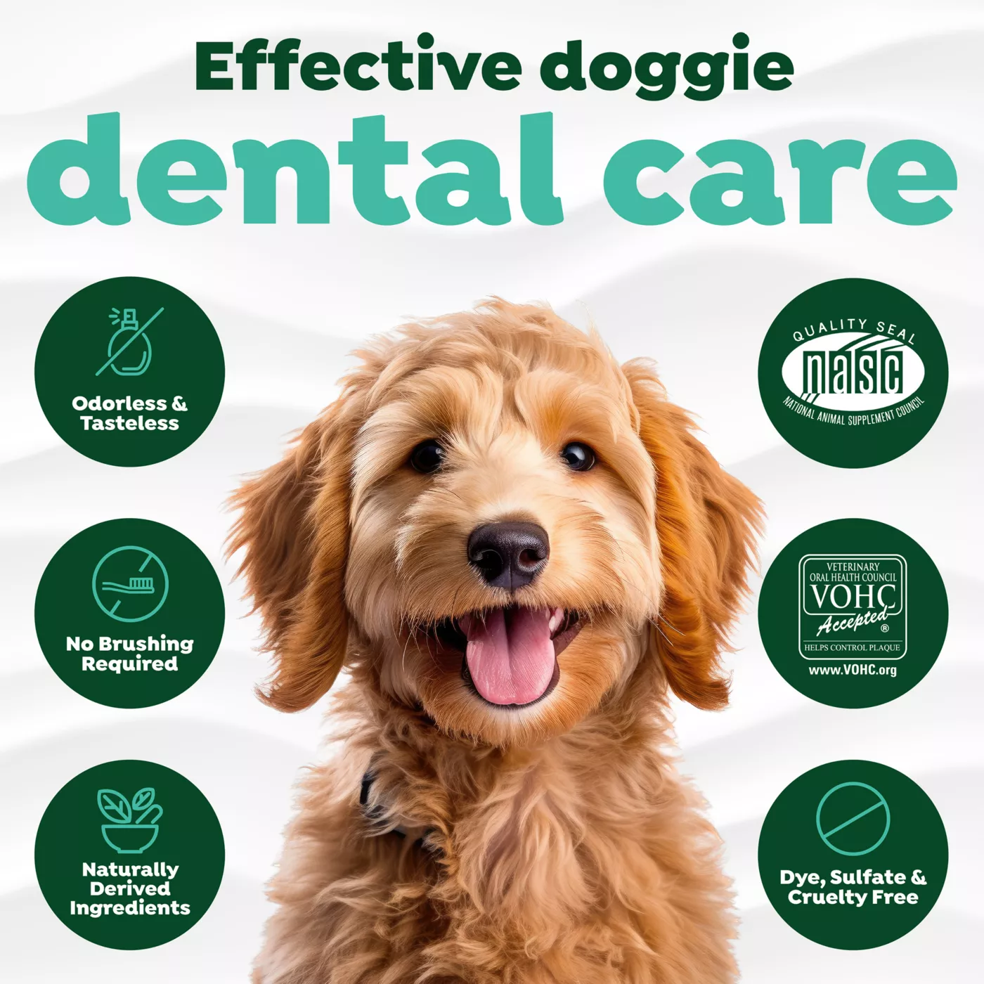 Dentahex shops oral rinse petsmart