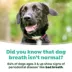 TropiClean® Fresh Breath® Dental Water Additive for Dogs image thumbnail 8