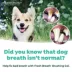 TropiClean® Fresh Breath® Small Dog Oral Care Kit image thumbnail 6