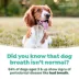 TropiClean® Fresh Breath® Dog Oral Care Spray image thumbnail 7