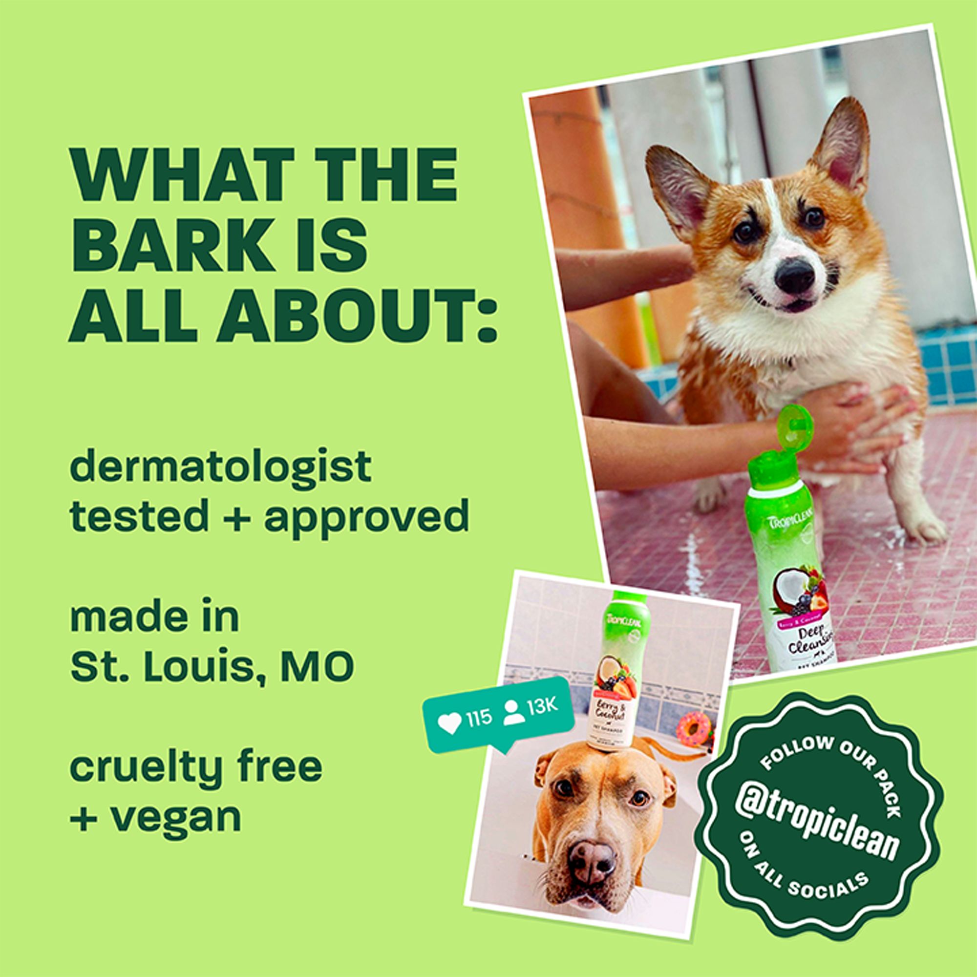 tropiclean medicated shampoo