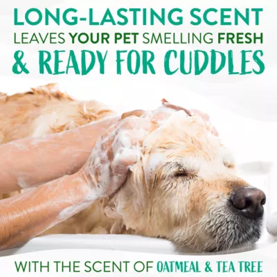 Product TropiClean® Medicated Oatmeal & Tea Tree Dog Shampoo