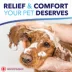 TropiClean® Oxy-Med® Medicated Oatmeal Treatment Dog Shampoo image thumbnail 6