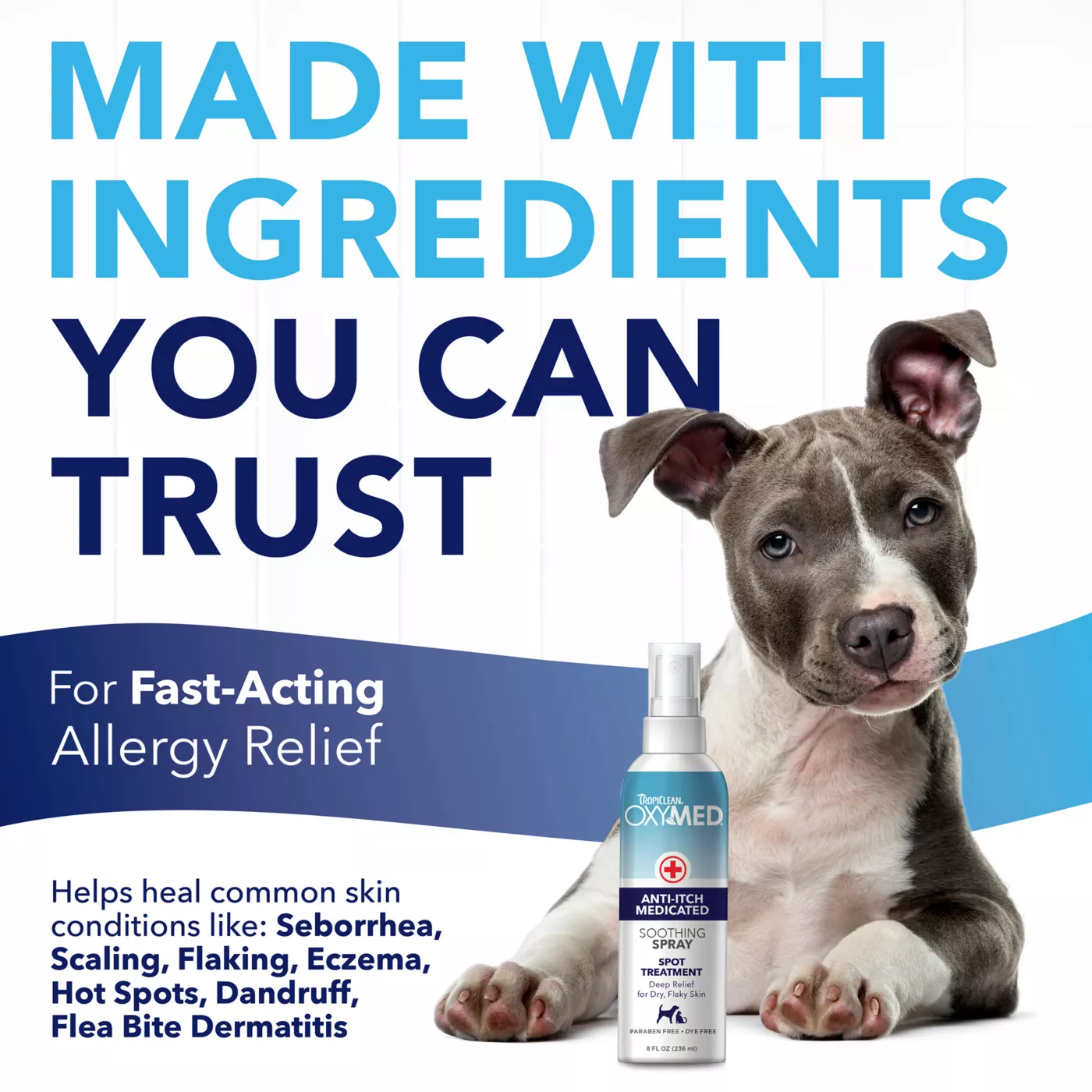 Dogmd anti itch spray best sale