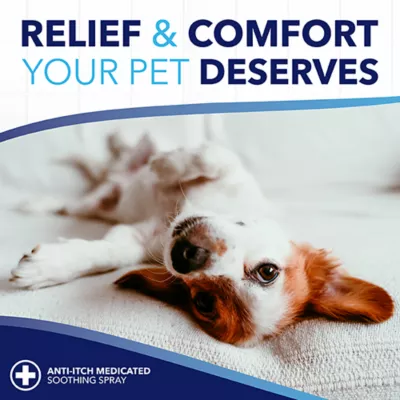 Product TropiClean® Oxy-Med® Anti-Itch Soothing Dog Spray