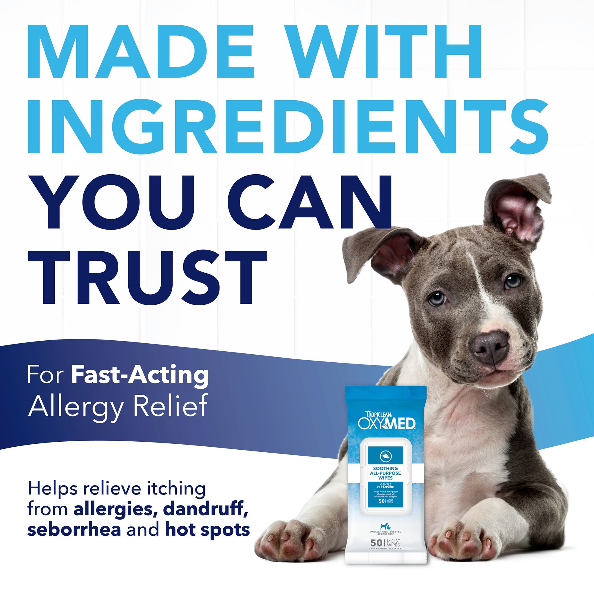 allergy wipes for dogs