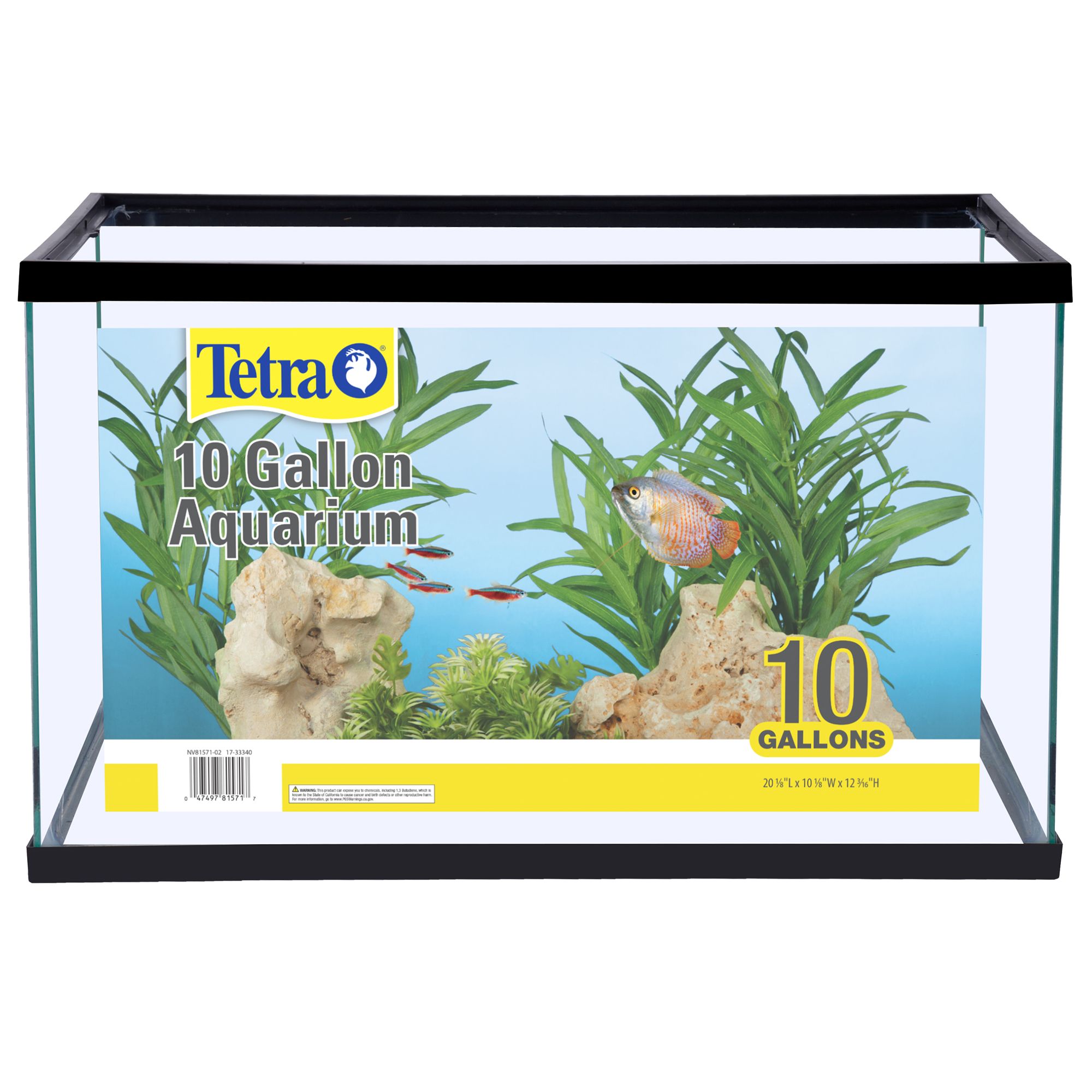 10 gallon freshwater aquarium