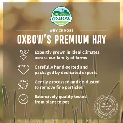 Product Oxbow Western Timothy & Orchard Grass Hay