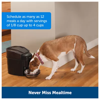 PetSafe Healthy Pet Simply Feed Automatic Feeder