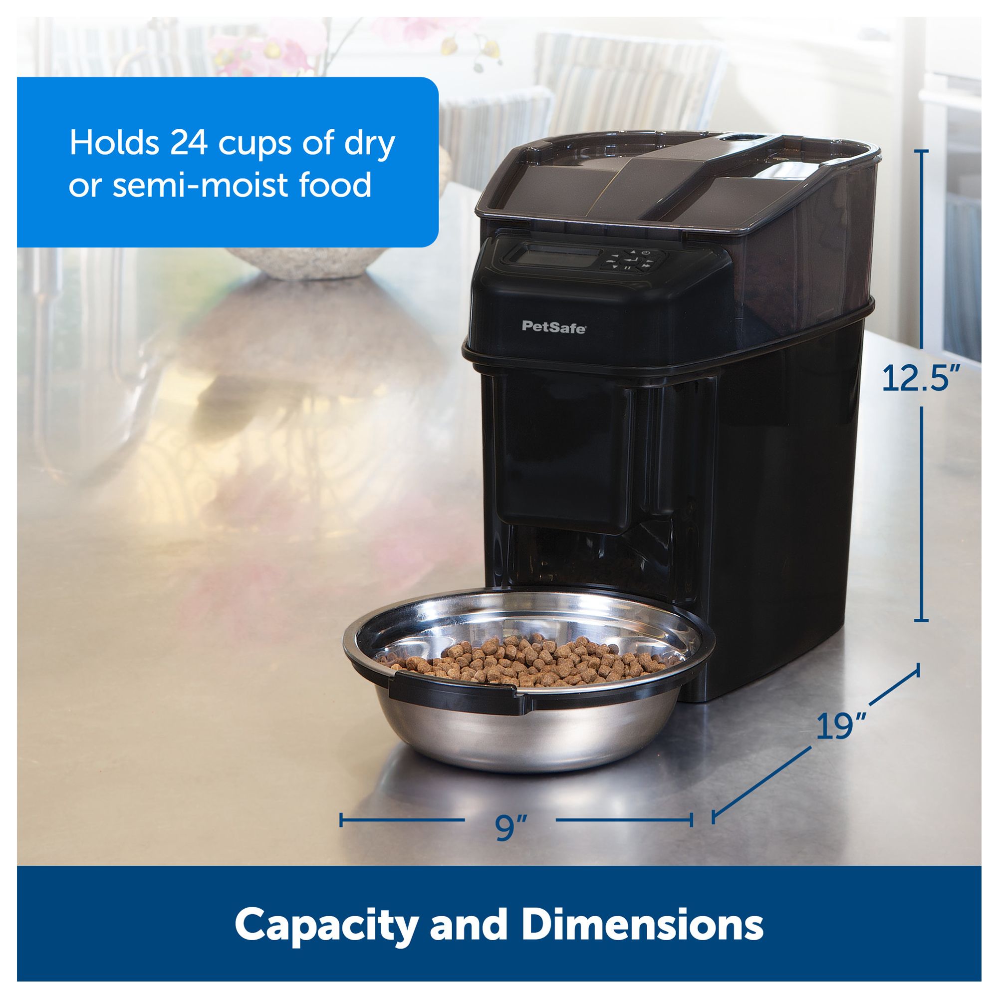 timed dog feeder petsmart