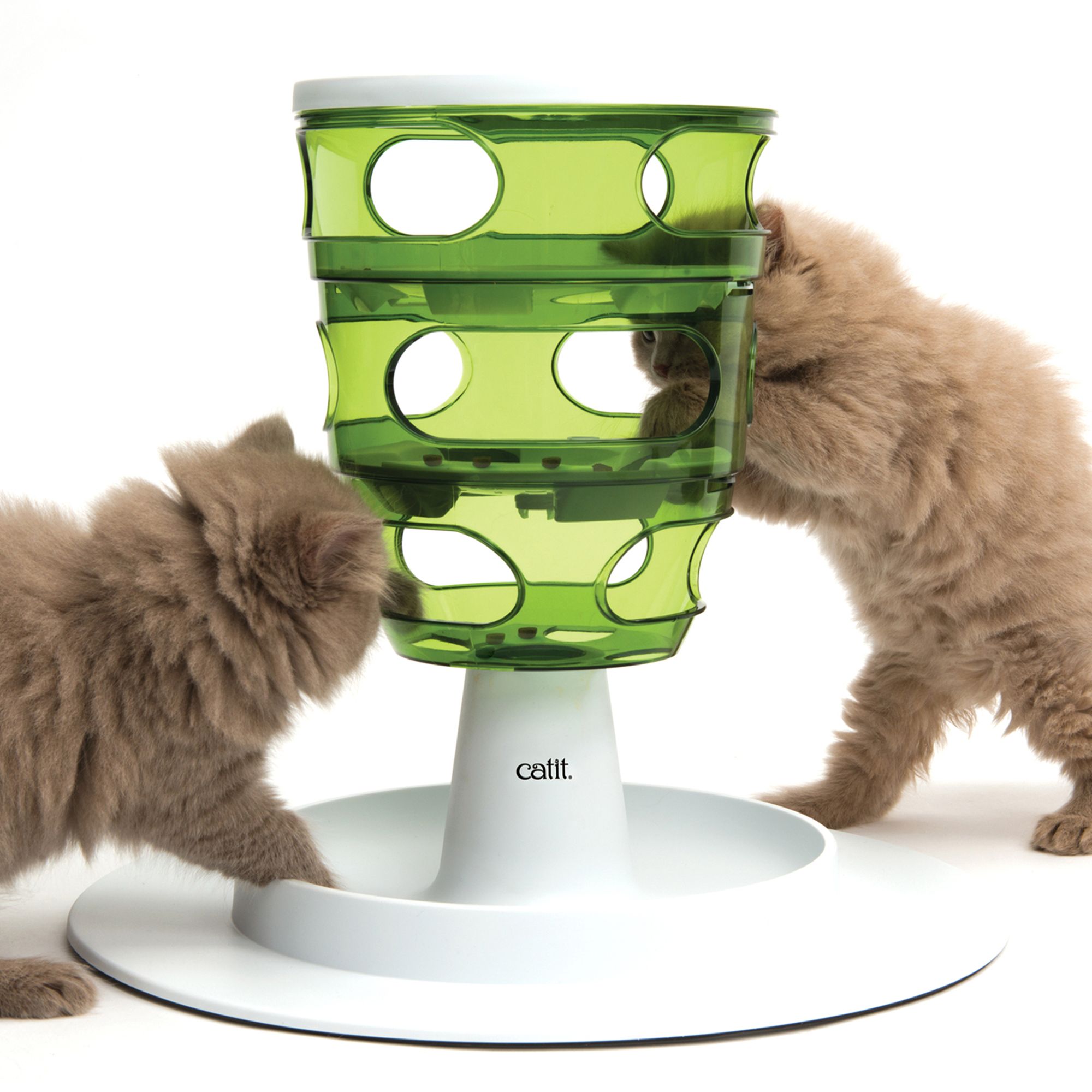 petsmart cat feeder