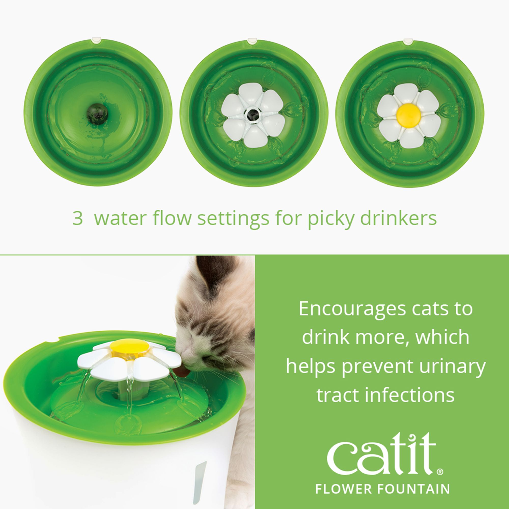 catit water bowl