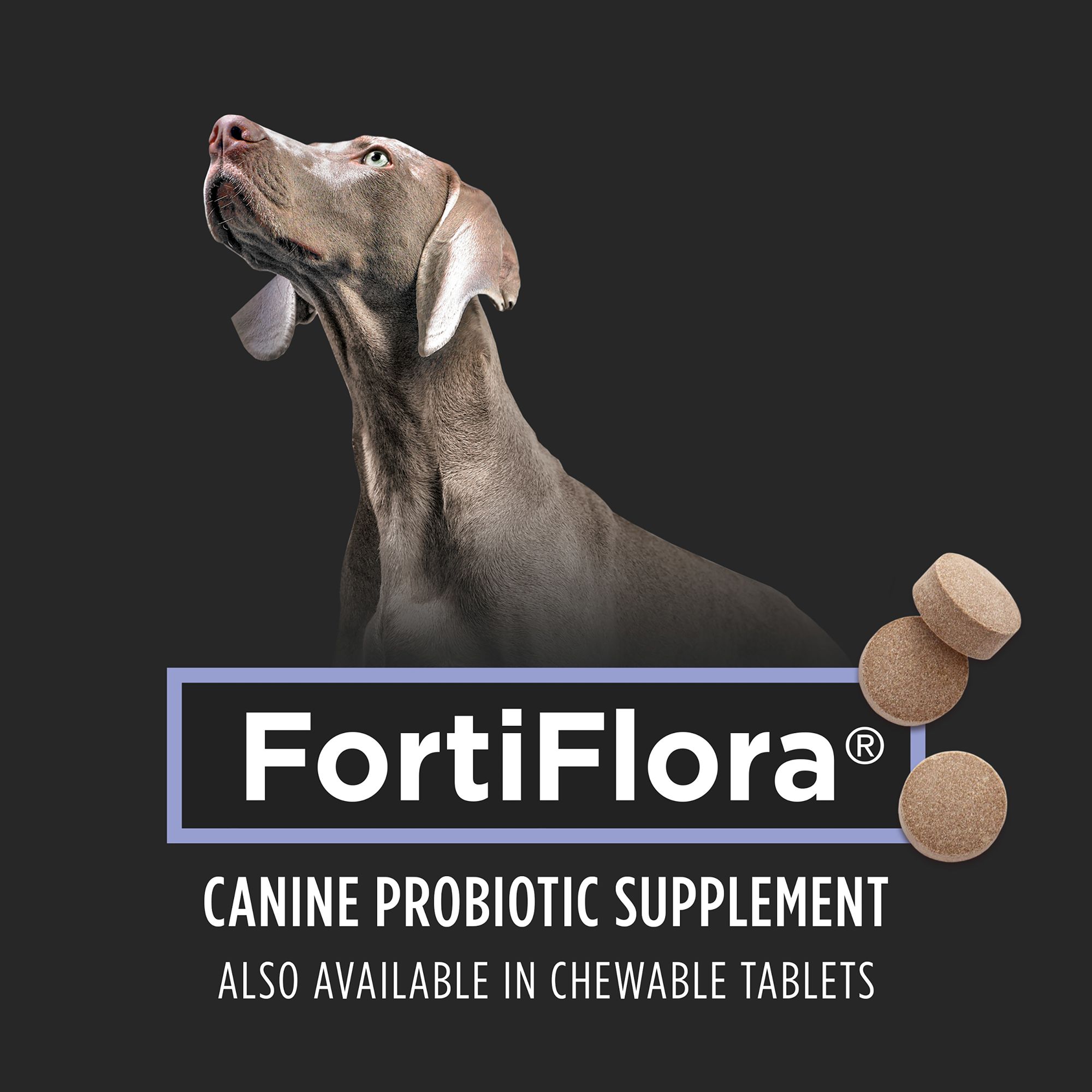 fortiflora for puppies