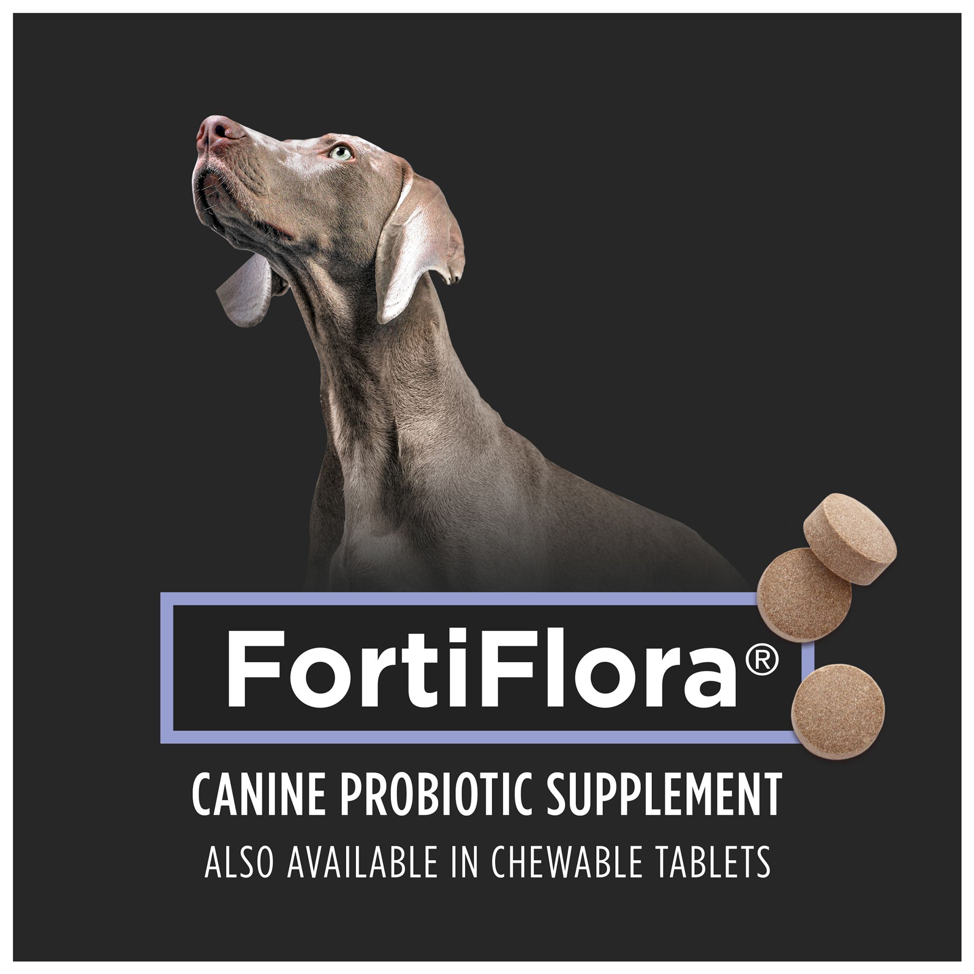 purina fortiflora canine nutritional supplement