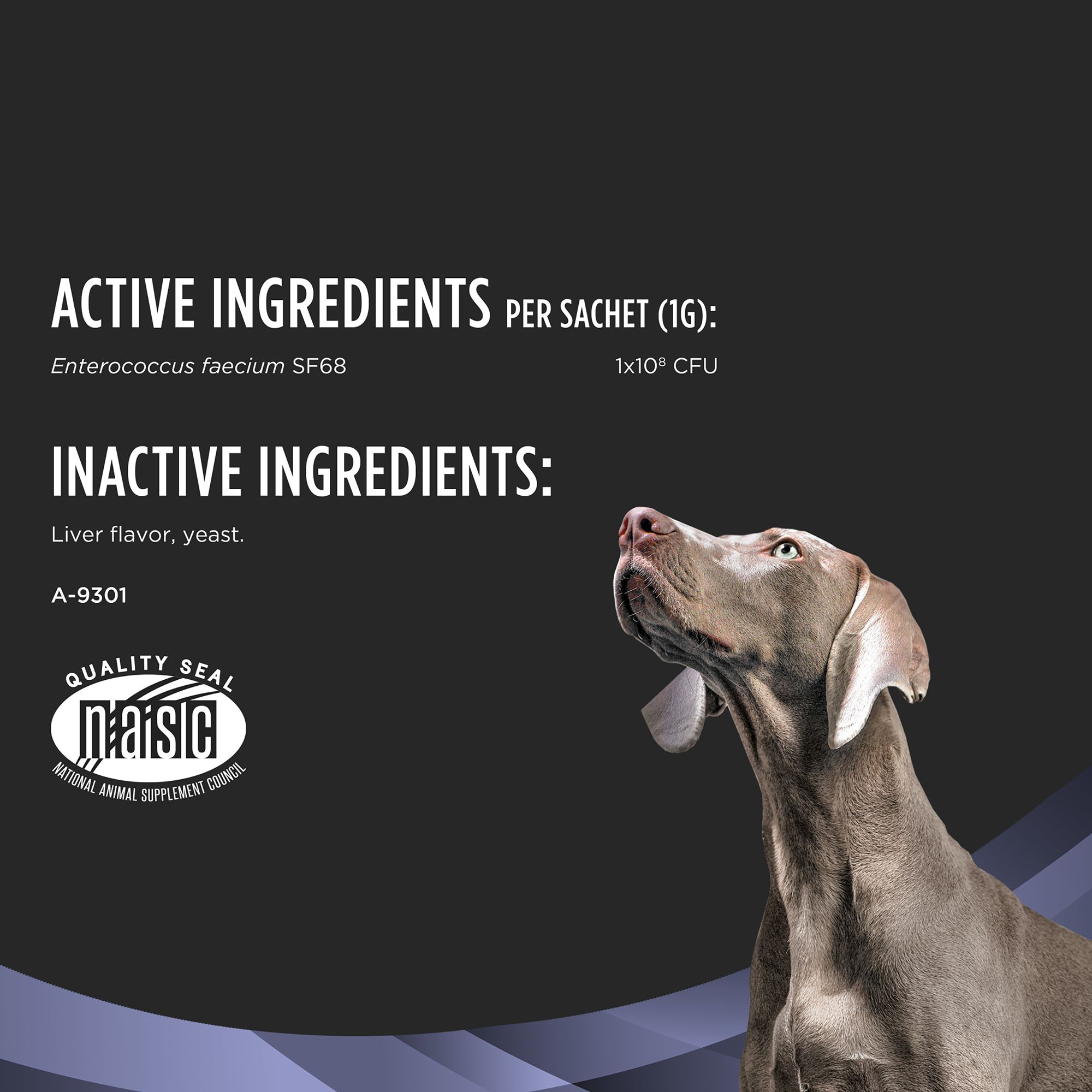 purina fortiflora canine nutritional supplement