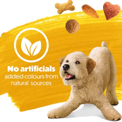 Beneful Originals Adult Dry Dog Food - Real Chicken - Image 5