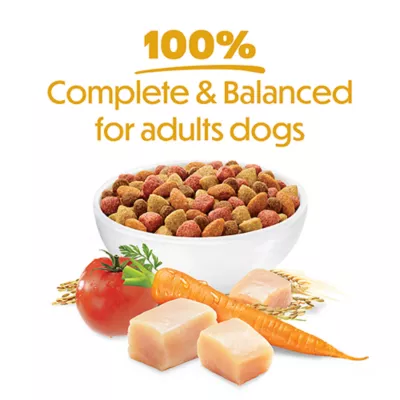Beneful Originals Adult Dry Dog Food - Real Chicken - Image 7