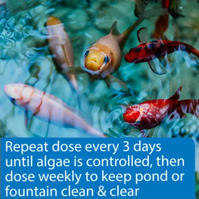 API® Pond Algefix - Image 4
