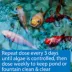 API® Pond Algefix image thumbnail 4