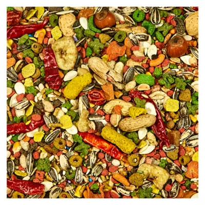 Product KAYTEE® Fiesta Parrot Food