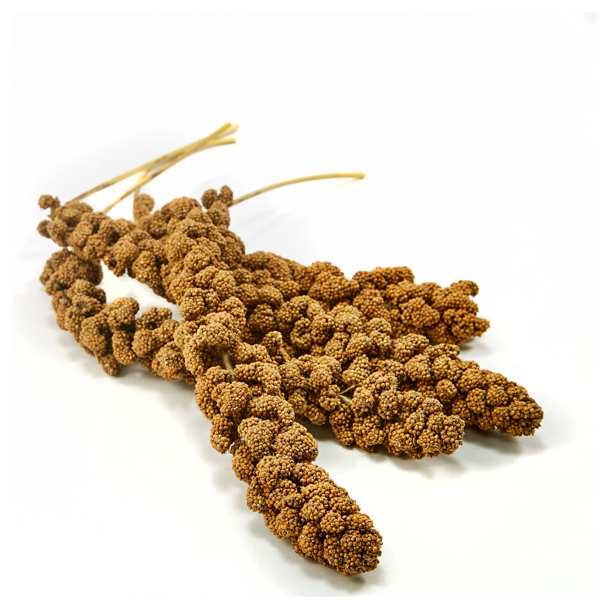 KAYTEE® Spray Millet - 5 LB - thumbnail 2