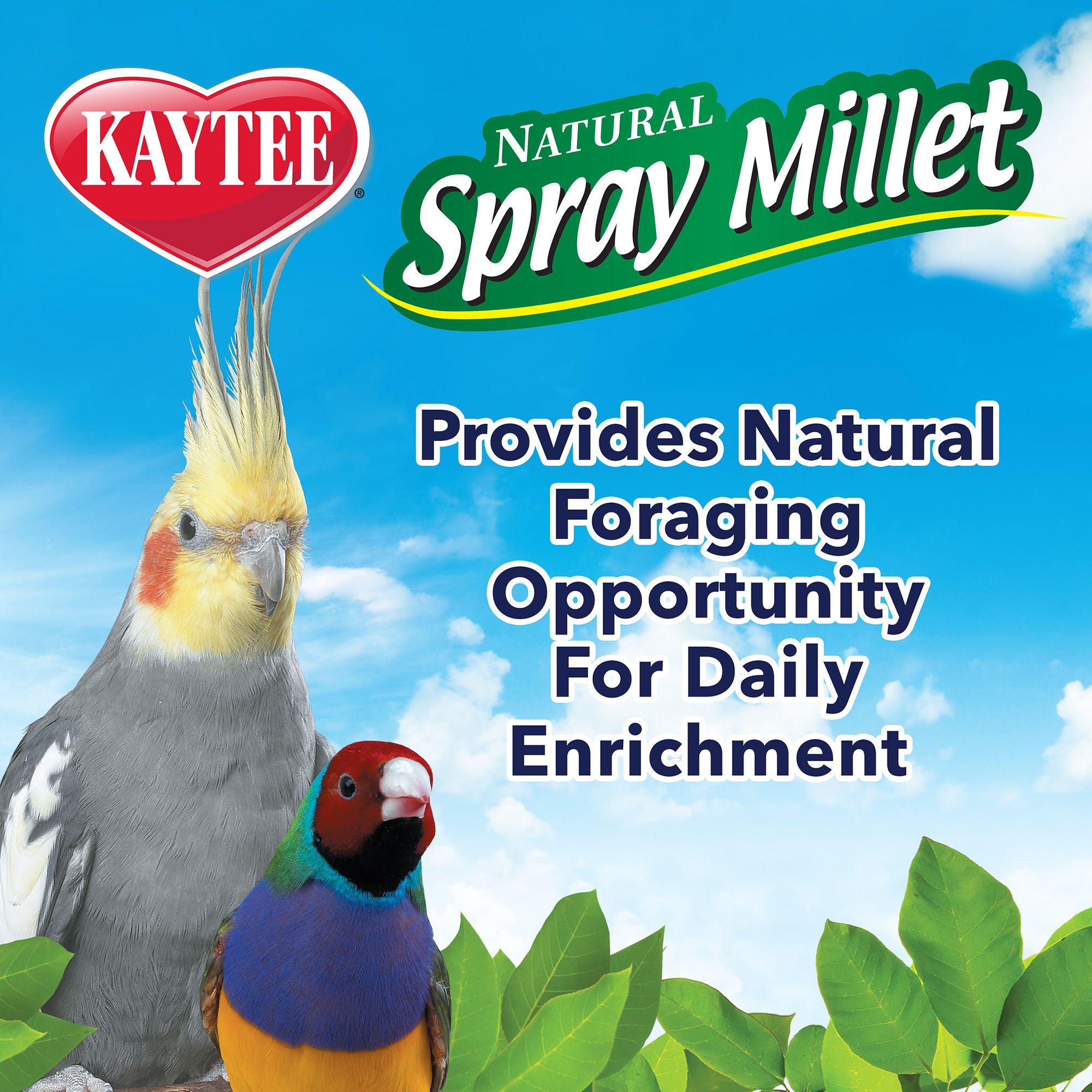 KAYTEE® Spray Millet - 5 LB - thumbnail 5