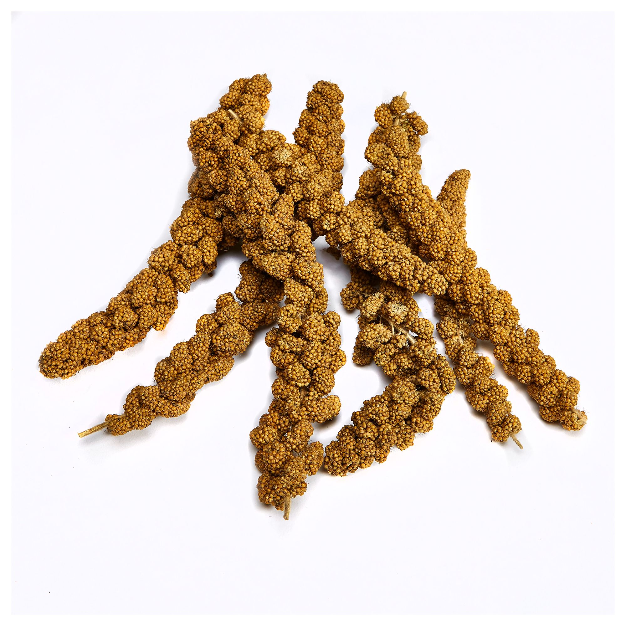 KAYTEE® Spray Millet - thumbnail 3