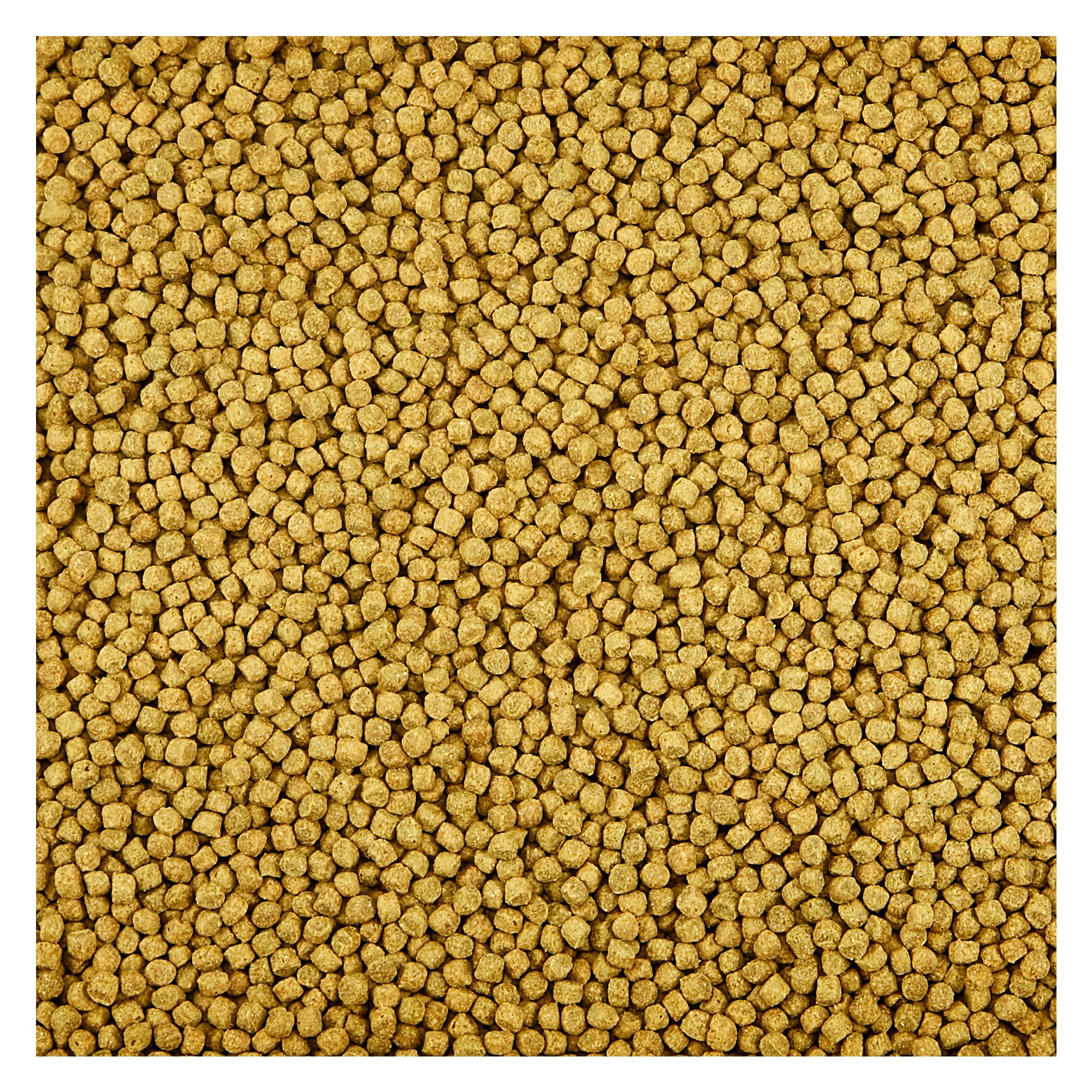 KAYTEE® Koi Choice Formula for Pond Fish - thumbnail 3