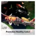 KAYTEE® Koi Choice Formula image thumbnail 6