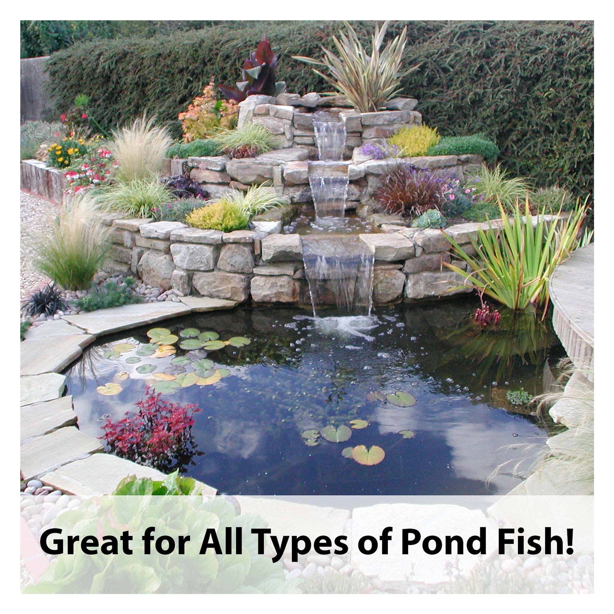 KAYTEE® Koi Choice Formula for Pond Fish - thumbnail 7