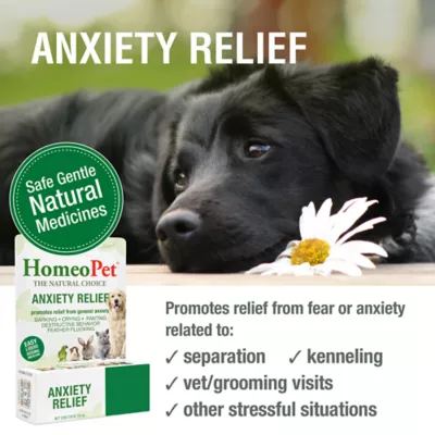 HomeoPet® Anxiety Relief Small Pet Calming Supplement - Image 2