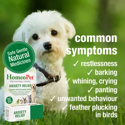HomeoPet® Anxiety Relief Small Pet Calming Supplement - Image 3